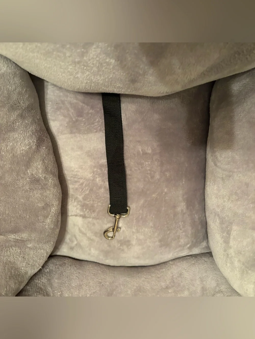COMFY DOG CAT BED/CAR SEAT TRAVEL SEAT FOR DOG! APPROXIMATELY 24“ X 22“ NWT